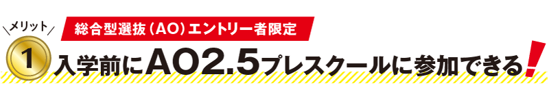 メリット1 入学前にAO2.5プレスクールに参加できる