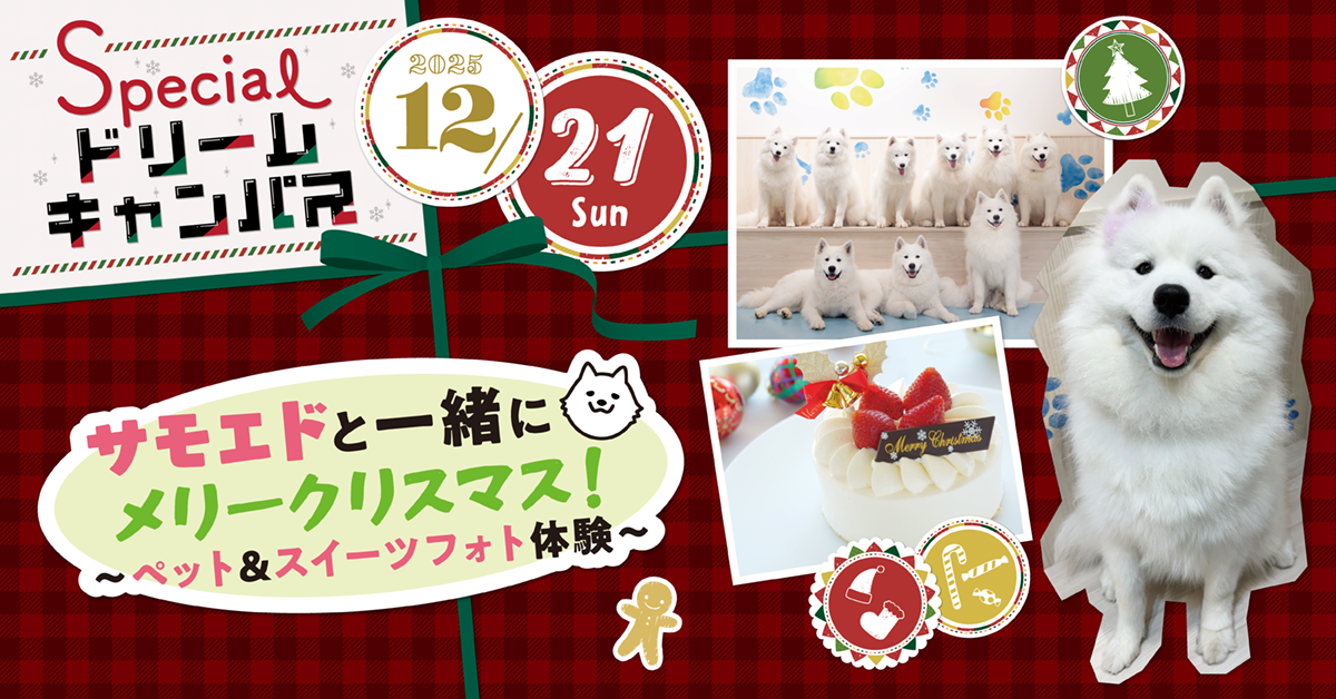 【12/21】サモエドと一緒にメリークリスマス!〜ペット&スイーツフォト体験〜