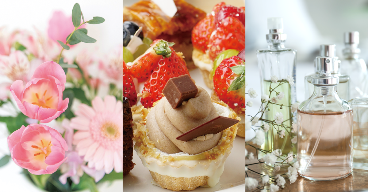 コマーシャルフォト撮影体験