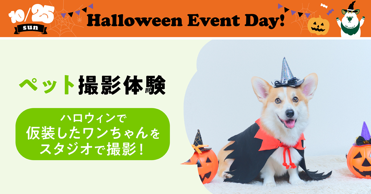 ペット撮影体験〜ハロウィン仮装したワンちゃんをスタジオで撮影！〜